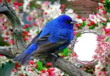 Inskriptionen på ramen: Пусть ярким будет каждый День... Inskriptionen på ramen: Пусть ярким будет каждый День...