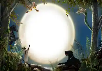 Foto Effekt från kategori Olika № 7470