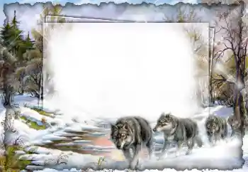 Foto Effekt från kategori Olika № 7512 Foto Effekt från kategori Olika № 7512