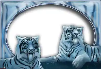 Foto Effekt från kategori Olika № 7517