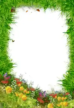 Foto Effekt från kategori Olika № 80192 Foto Effekt från kategori Olika № 80192