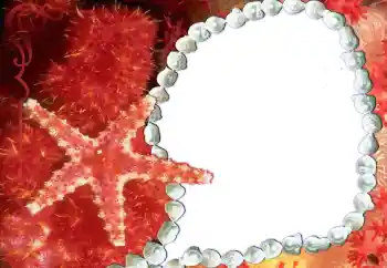 Foto Effekt från kategori Olika № 80293