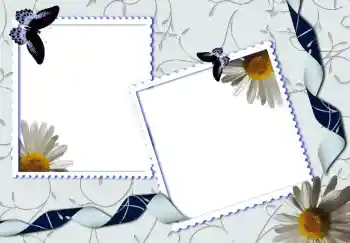 Foto Effekt från kategori Olika № 80319