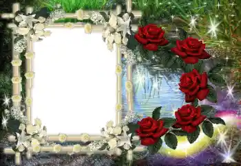 Foto Effekt från kategori Olika № 80386