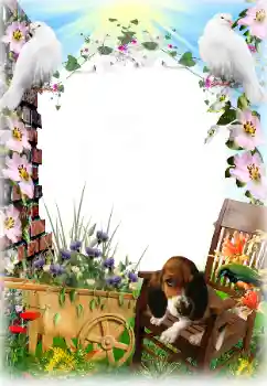 Foto Effekt från kategori Olika № 81633