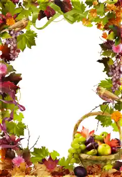 Foto Effekt från kategori Olika № 81650