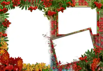 Foto Effekt från kategori Olika № 83986