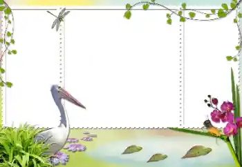 Foto Effekt från kategori Olika № 84103