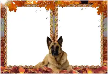 Foto Effekt från kategori Olika № 8477 Foto Effekt från kategori Olika № 8477