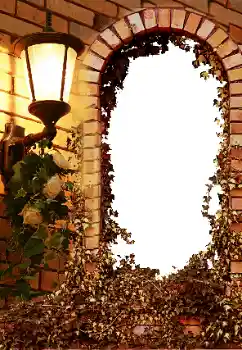 Foto Effekt från kategori Olika № 8595