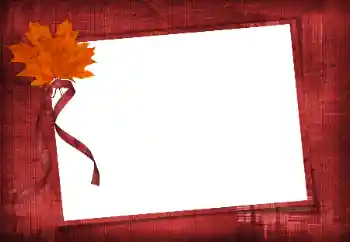 Foto Effekt från kategori Olika № 86582