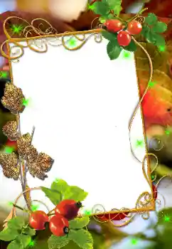 Foto Effekt från kategori Olika № 8676