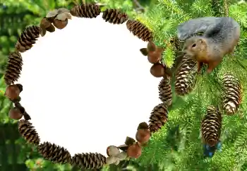 Foto Effekt från kategori Olika № 8682