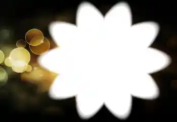 Foto Effekt från kategori Olika № 88034