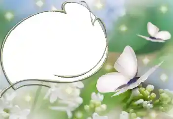 Foto Effekt från kategori Olika № 90527