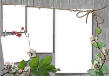 Foto Effekt från kategori Olika № 91740