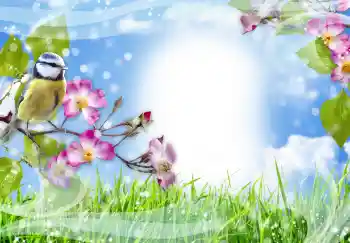 Foto Effekt från kategori Olika № 91774