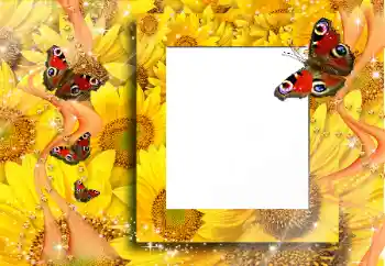 Foto Effekt från kategori Olika № 91829