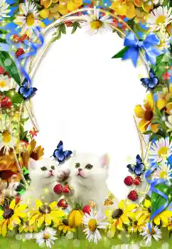 Foto Effekt från kategori Olika № 93351