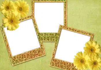 Foto Effekt från kategori Olika № 93371