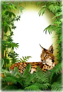 Foto Effekt från kategori Olika № 94618