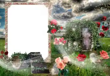 Foto Effekt från kategori Olika № 96374