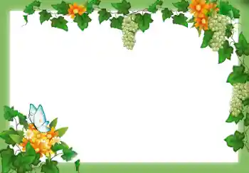 Foto Effekt från kategori Olika № 9658