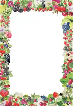 Foto Effekt från kategori Olika № 9790 Foto Effekt från kategori Olika № 9790