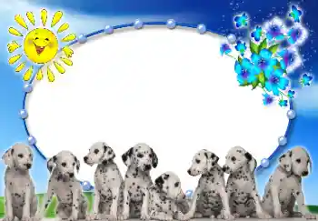 Foto Effekt från kategori Olika № 9907 Foto Effekt från kategori Olika № 9907