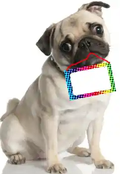 Foto Effekt från kategori Olika № 99781