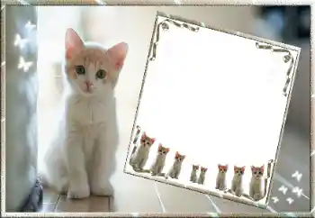 Foto Effekt från kategori Olika № 99811