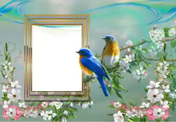 Foto Effekt från kategori Olika № 99895