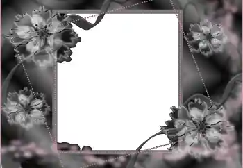 Foto Effekt från kategori Begravnings band № 114453 Foto Effekt från kategori Begravnings band № 114453