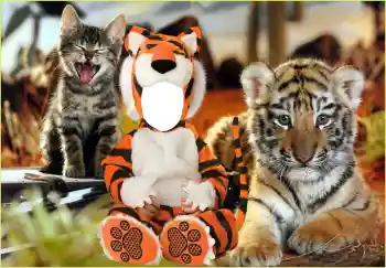 Foto Effekt från kategori För barn № 118830 Foto Effekt från kategori För barn № 118830