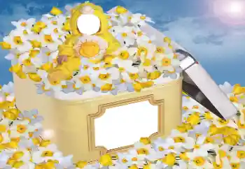 Foto Effekt från kategori För barn № 33984 Foto Effekt från kategori För barn № 33984