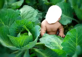 Foto Effekt från kategori För barn № 90533 Foto Effekt från kategori För barn № 90533