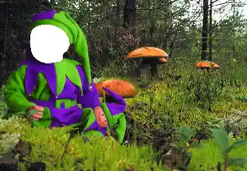 Foto Effekt från kategori För barn № 90549 Foto Effekt från kategori För barn № 90549