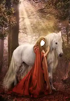 Foto Effekt från kategori För kvinnor № 131813