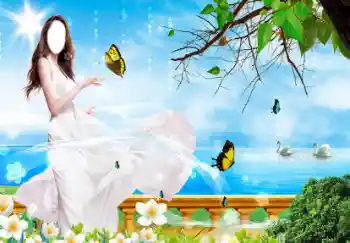 Foto Effekt från kategori För kvinnor № 34978