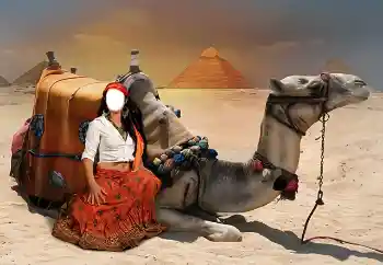 Foto Effekt från kategori För kvinnor № 38344