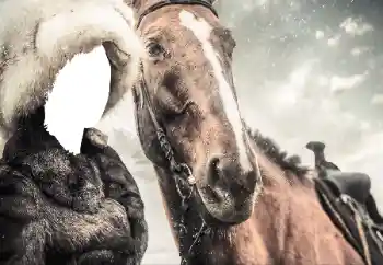 Foto Effekt från kategori För kvinnor № 38493