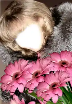 Foto Effekt från kategori För kvinnor № 38949