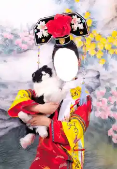 Foto Effekt från kategori För kvinnor № 47086