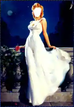 Foto Effekt från kategori För kvinnor № 59092