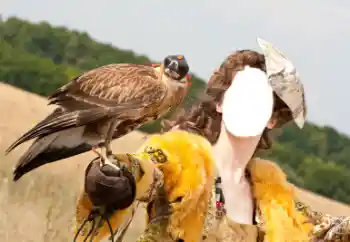 Foto Effekt från kategori För kvinnor № 61598