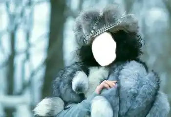 Foto Effekt från kategori För kvinnor № 85277