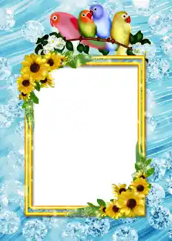 Foto Effekt från kategori Album No.4 № 860 Foto Effekt från kategori Album No.4 № 860