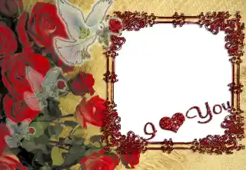 Inskriptionen på ramen: I love you! Inskriptionen på ramen: I love you!