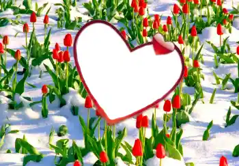 Foto Effekt från kategori Ramar för pojkvänner № 114247 Foto Effekt från kategori Ramar för pojkvänner № 114247