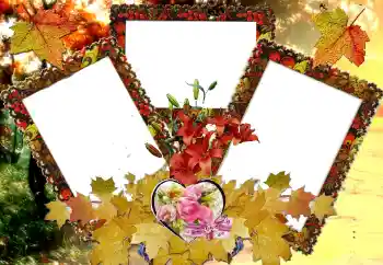 Foto Effekt från kategori Ramar för pojkvänner № 124326 Foto Effekt från kategori Ramar för pojkvänner № 124326